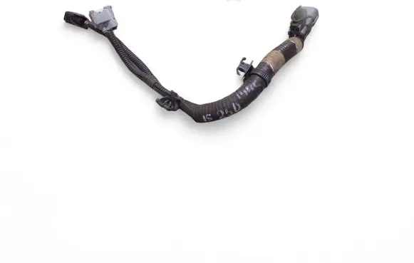 Lexus IS 220D-250-350 Other wiring loom