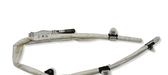 BMW 2 F22 F23 Roof airbag 7292898