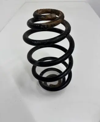 Rear coil spring
