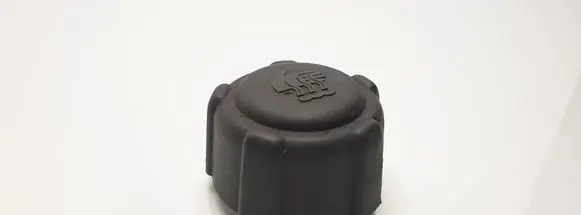 Renault Scenic I Coolant expansion tank/reservoir cap 