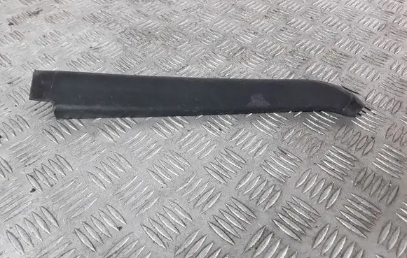 Front door glass trim molding
