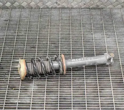 Rear shock absorber/damper