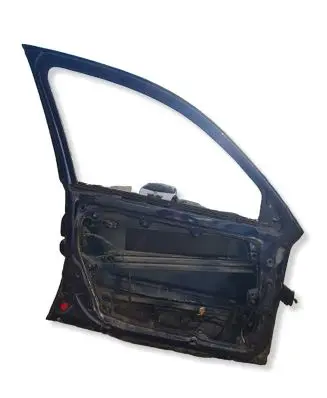 Volkswagen PASSAT B5.5 Front door 