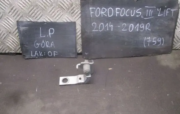 Ford Focus Loading door hinge set 