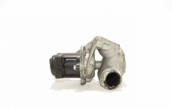 Peugeot Partner EGR valve 424730151