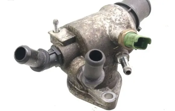 Thermostat/thermostat housing