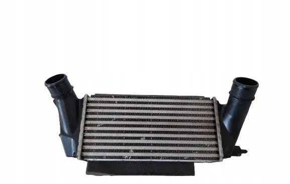 Ford Ecosport Intercooler radiator C1B19L440AC
