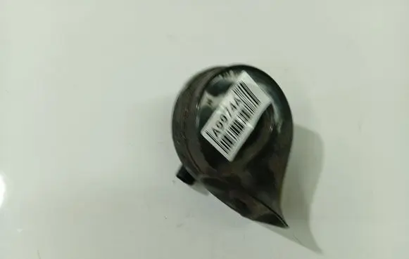 Rover 75 Horn signal 