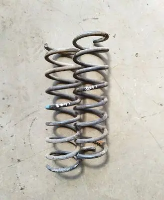 Rear coil spring