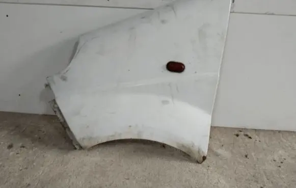 Renault Trafic II (X83) Fender