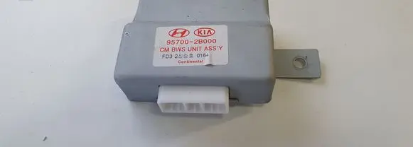 Hyundai Santa Fe Parking PDC control unit/module