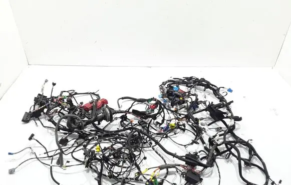 Renault Zoe Other wiring loom 403885523R