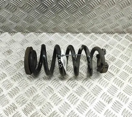 Volkswagen ID.4 Rear coil spring 1EA511103E