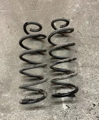 Rear coil spring