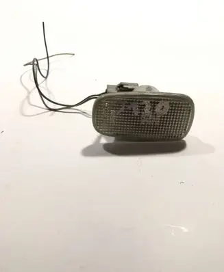 Front fender indicator light