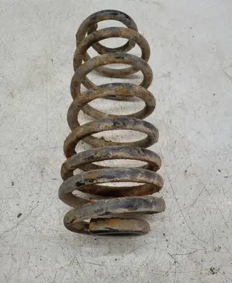 Volkswagen PASSAT B6 Rear coil spring