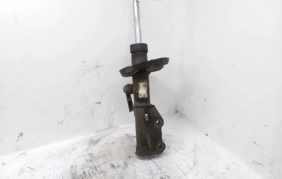 Opel Insignia A Front shock absorber/damper 13245966 367327926