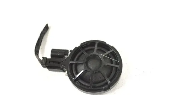 Volkswagen Tiguan Front door speaker 100483300A