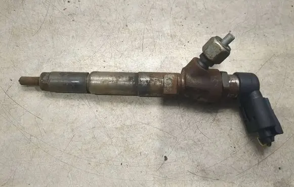 Dacia Duster Fuel injector H8200704191 166008052R