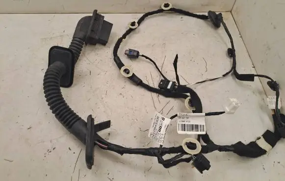 Dacia Sandero III Front door wiring loom 241254332R
