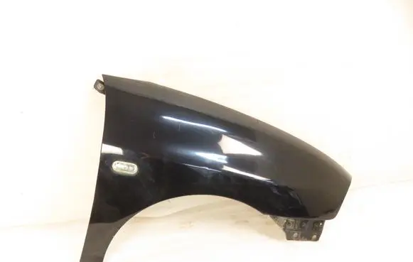 Seat Ibiza III (6L) Fender