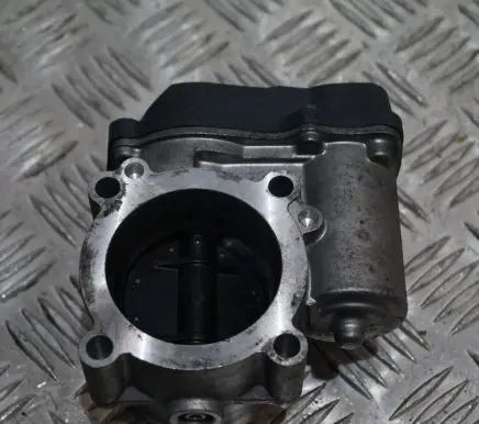 Seat Altea XL Throttle valve