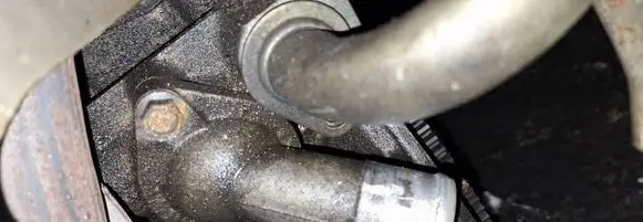 Nissan Primera Engine coolant pipe/hose 