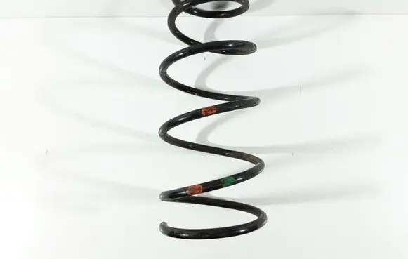 Rear coil spring