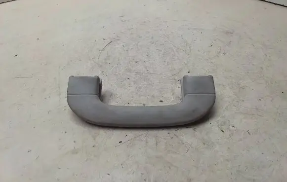 Mercedes-Benz B W245 Front interior roof grab handle A1698100151