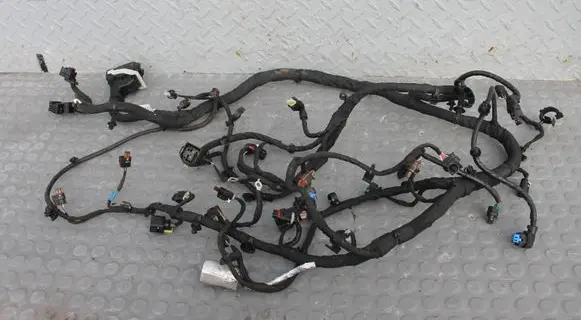 MG HS Other wiring loom WIAZKA11388412 11388412 101100506
