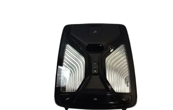 BMW X5 G05 Front seat light 61315B32483 5B32483