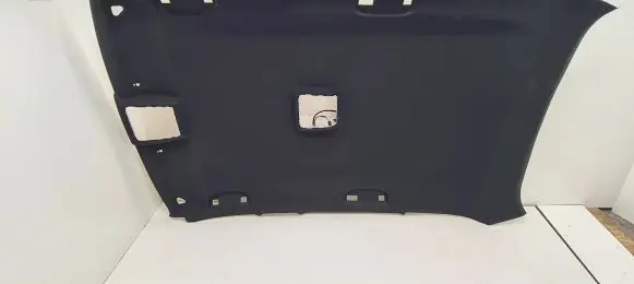 BMW X1 E84 Headlining 4229333 2991798 8036432