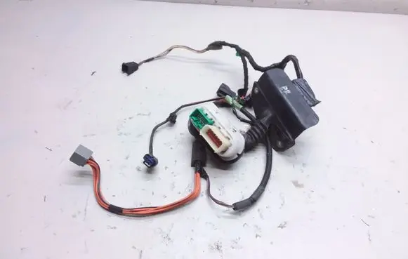 Front door wiring loom