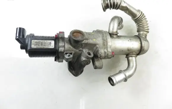 Fiat Panda II EGR valve 55201144