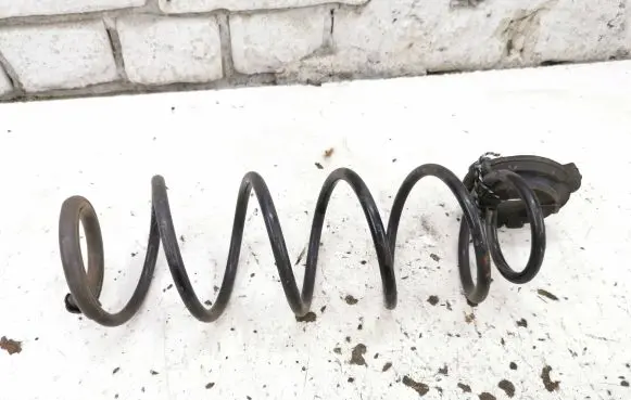 Renault Laguna III Rear coil spring