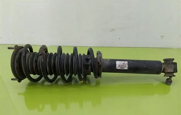 Peugeot 407 Front shock absorber with coil spring