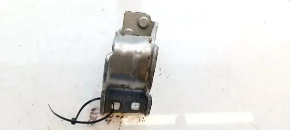 Volkswagen PASSAT B6 Tailgate/trunk/boot hinge 3C9827331D