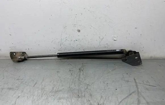 Nissan Pathfinder R51 Tailgate/trunk strut/damper
