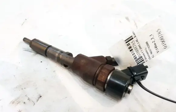 Citroen C5 Fuel injector 9641742880 0445110076