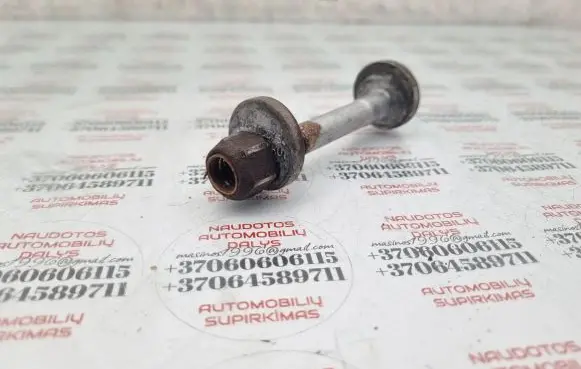 Audi A6 S6 C6 4F Rear suspension camber bolt 