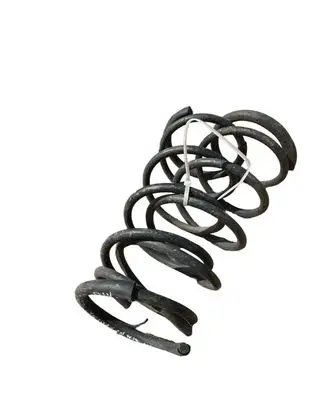 Rear coil spring
