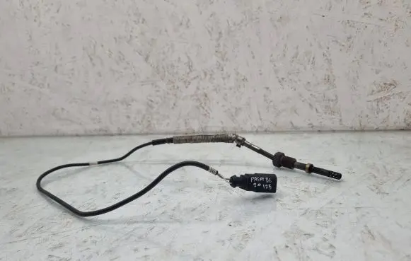 Exhaust gas temperature sensor