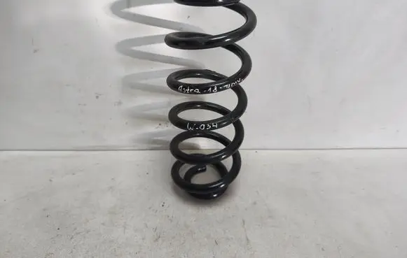 Rear coil spring