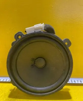 Front door speaker