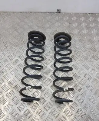 Rear coil spring