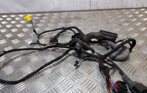 Audi Q5 SQ5 Rear door wiring loom 8R0971029