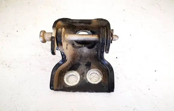 Citroen C3 Rear door lower hinge