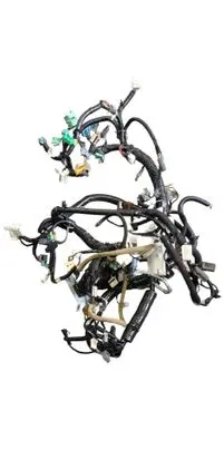 Honda Civic X Wiring harness 77961TGG1N0701