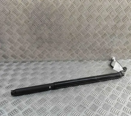 Nissan Ariya Tailgate/trunk strut/damper 905605MP1A