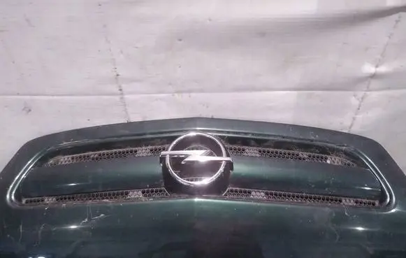 Opel Signum Front grill 